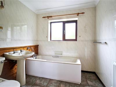 Picture 20